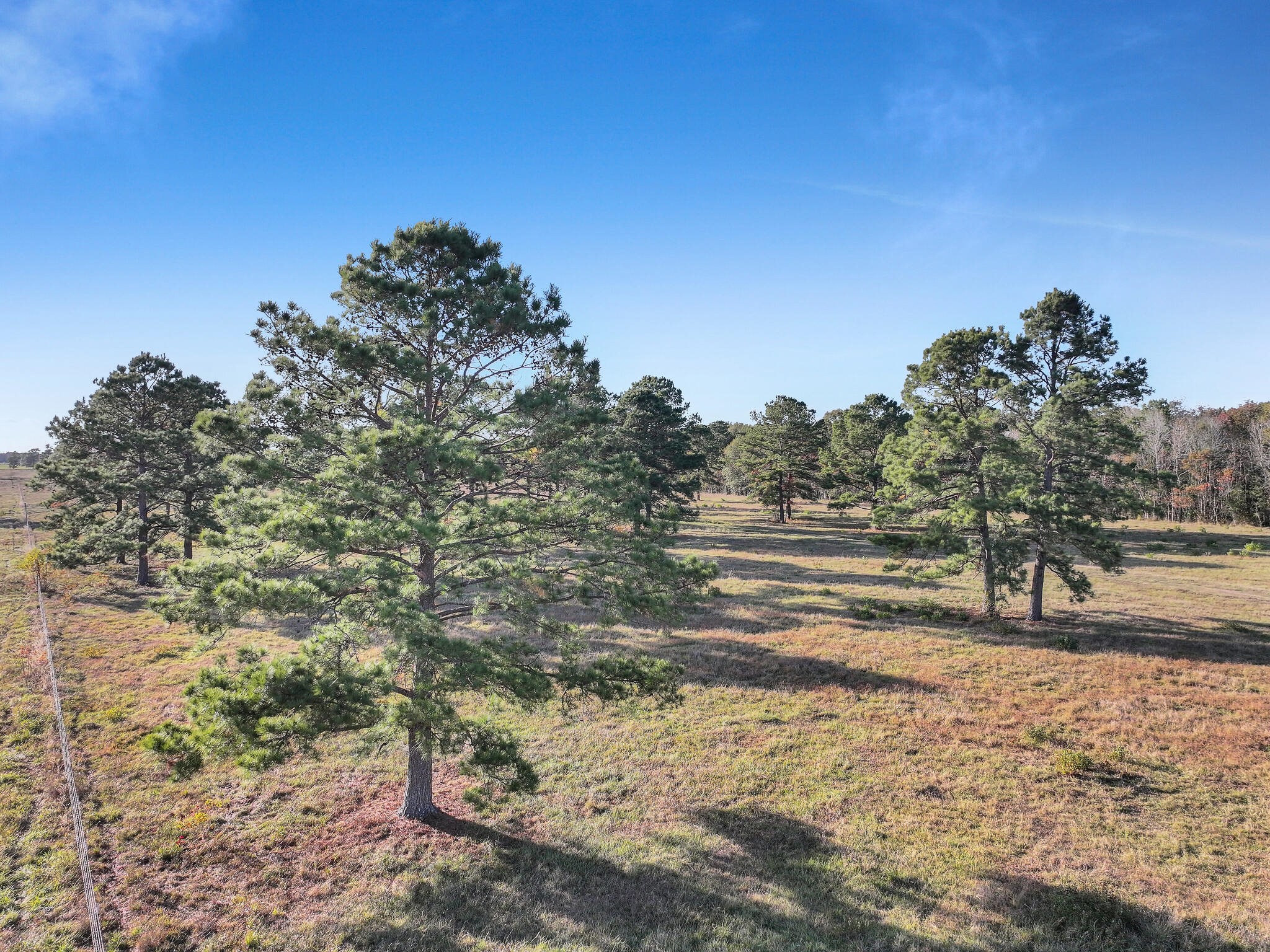Tbd County Road 2058 Property Photo 12