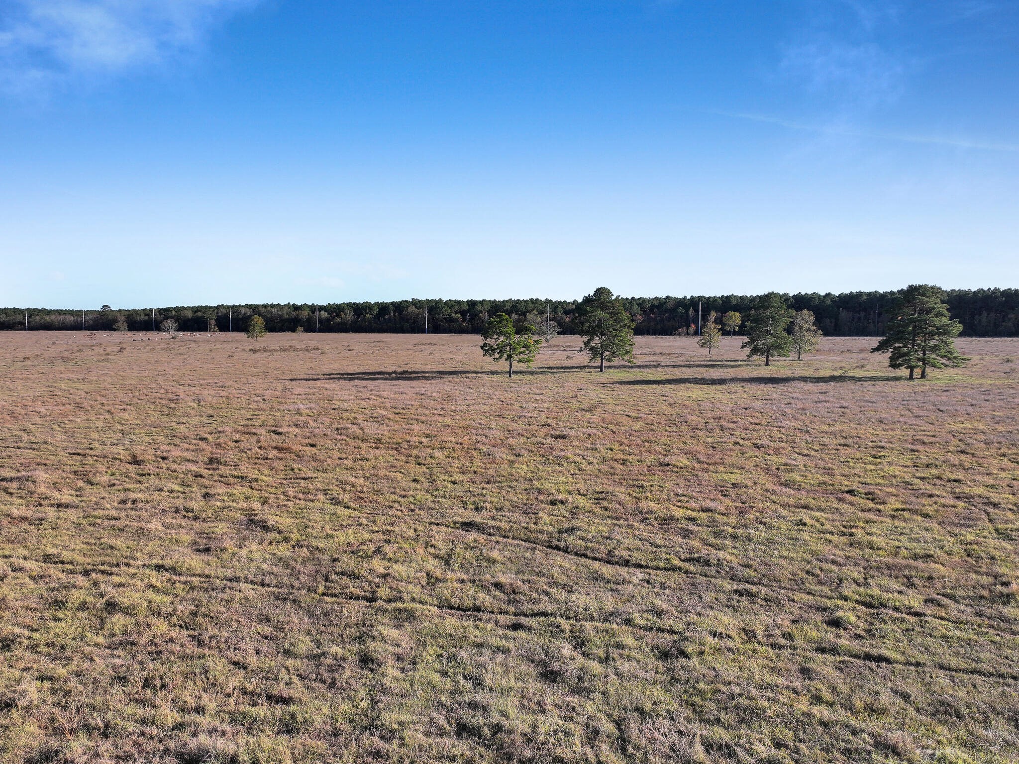 Tbd County Road 2058 Property Photo 13