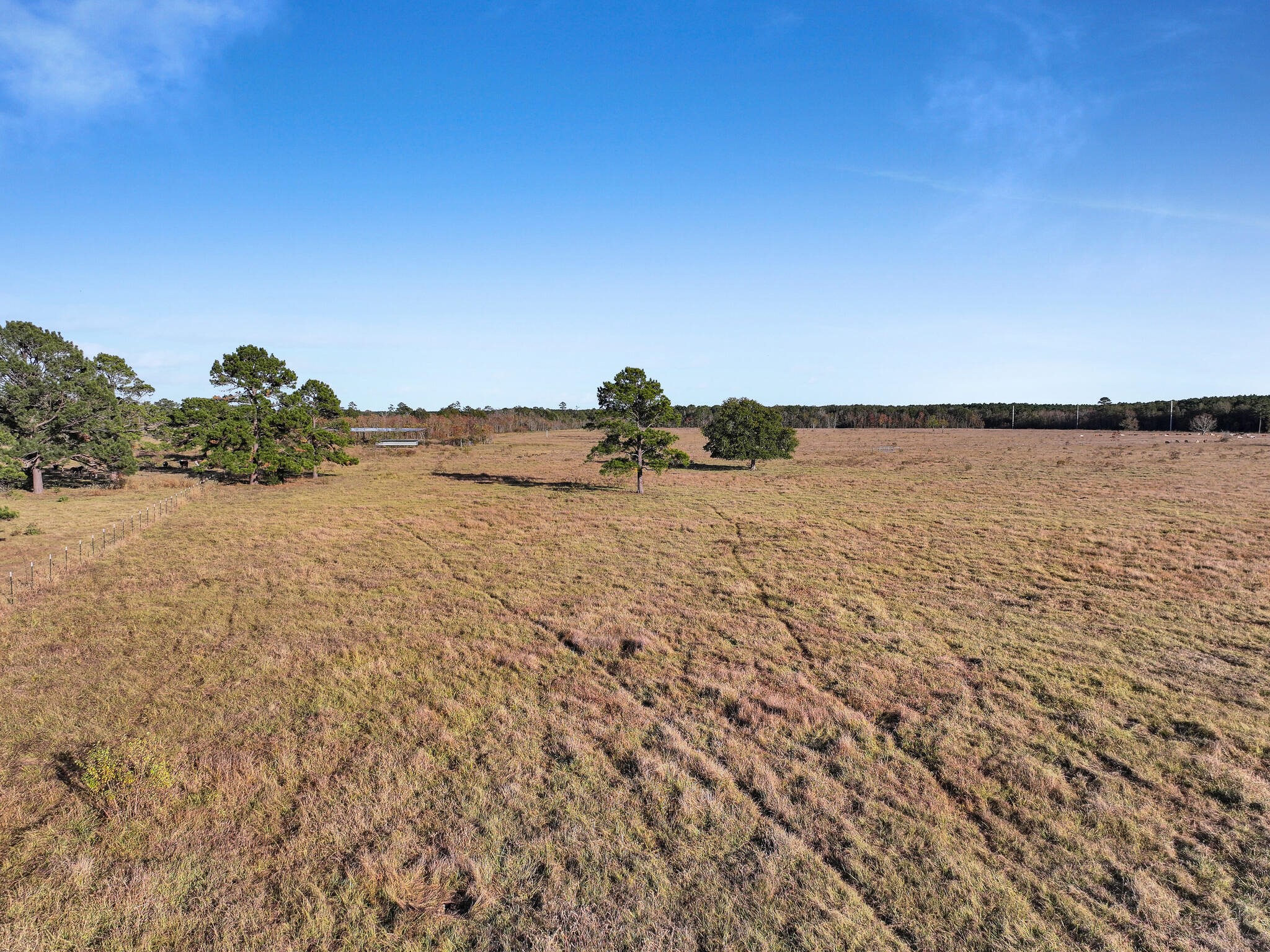 Tbd County Road 2058 Property Photo 14