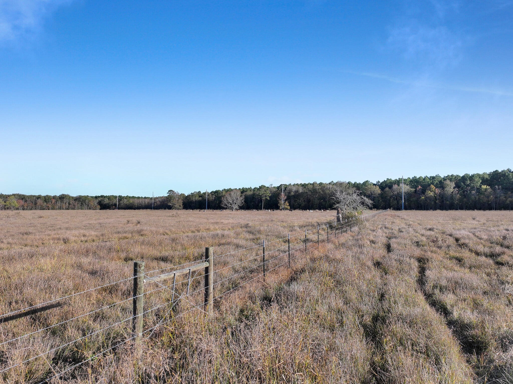 Tbd County Road 2058 Property Photo 15