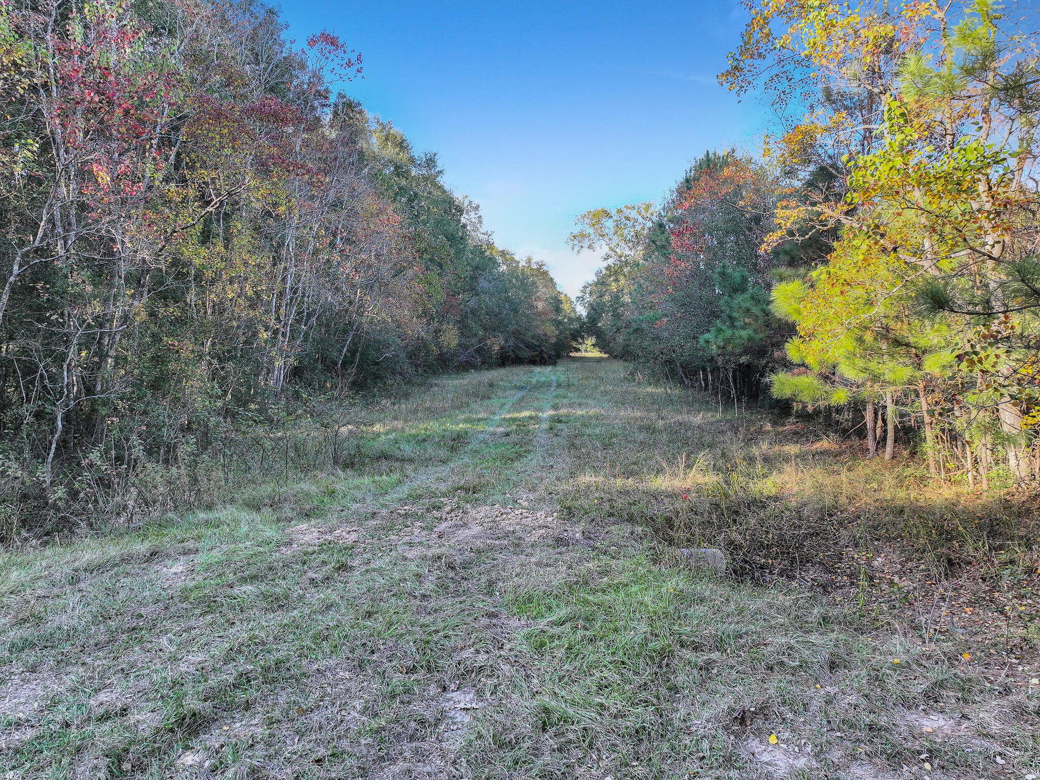Tbd County Road 2058 Property Photo 18
