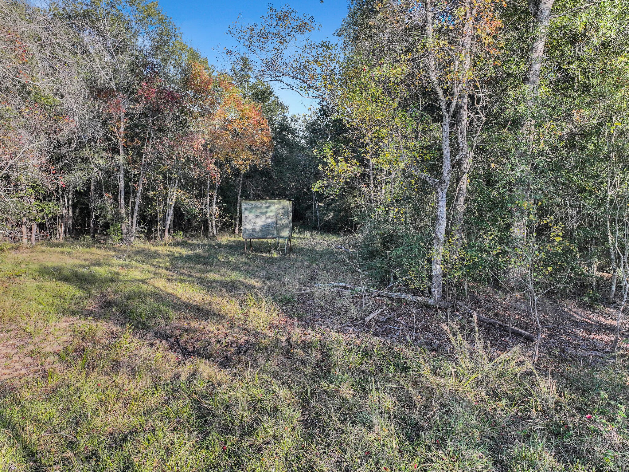 Tbd County Road 2058 Property Photo 19
