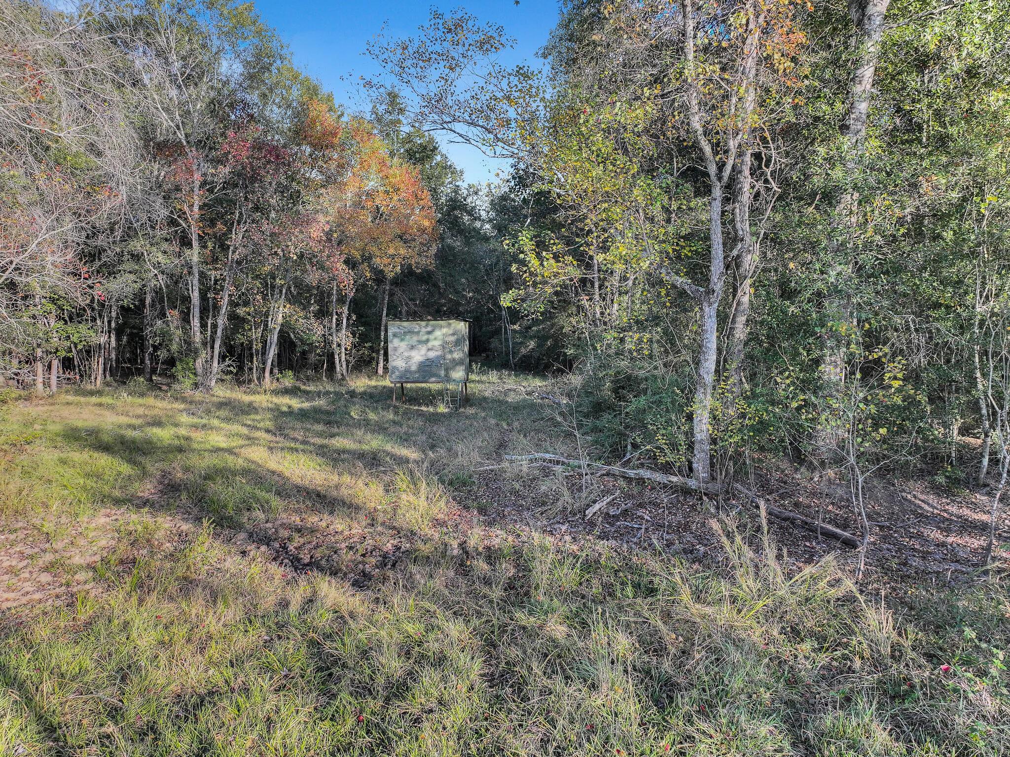 Tbd County Road 2058, Hull Tx 77564 Property Photo 19