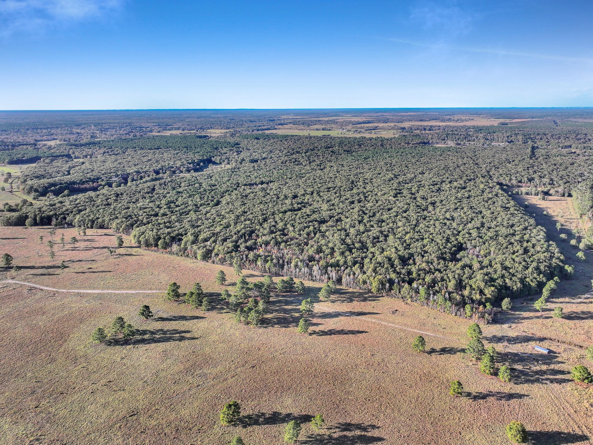 Tbd County Road 2058 Property Photo 21