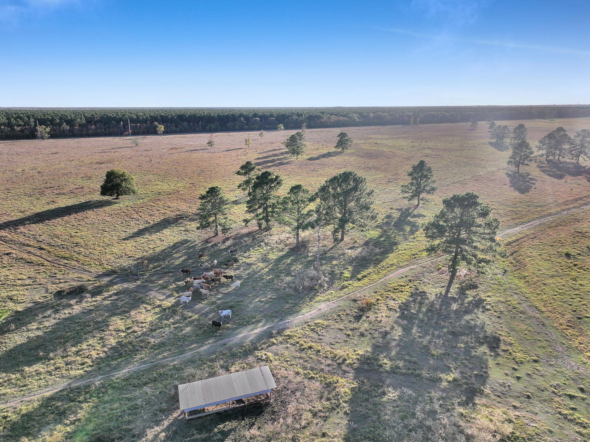 Tbd County Road 2058 Property Photo 22
