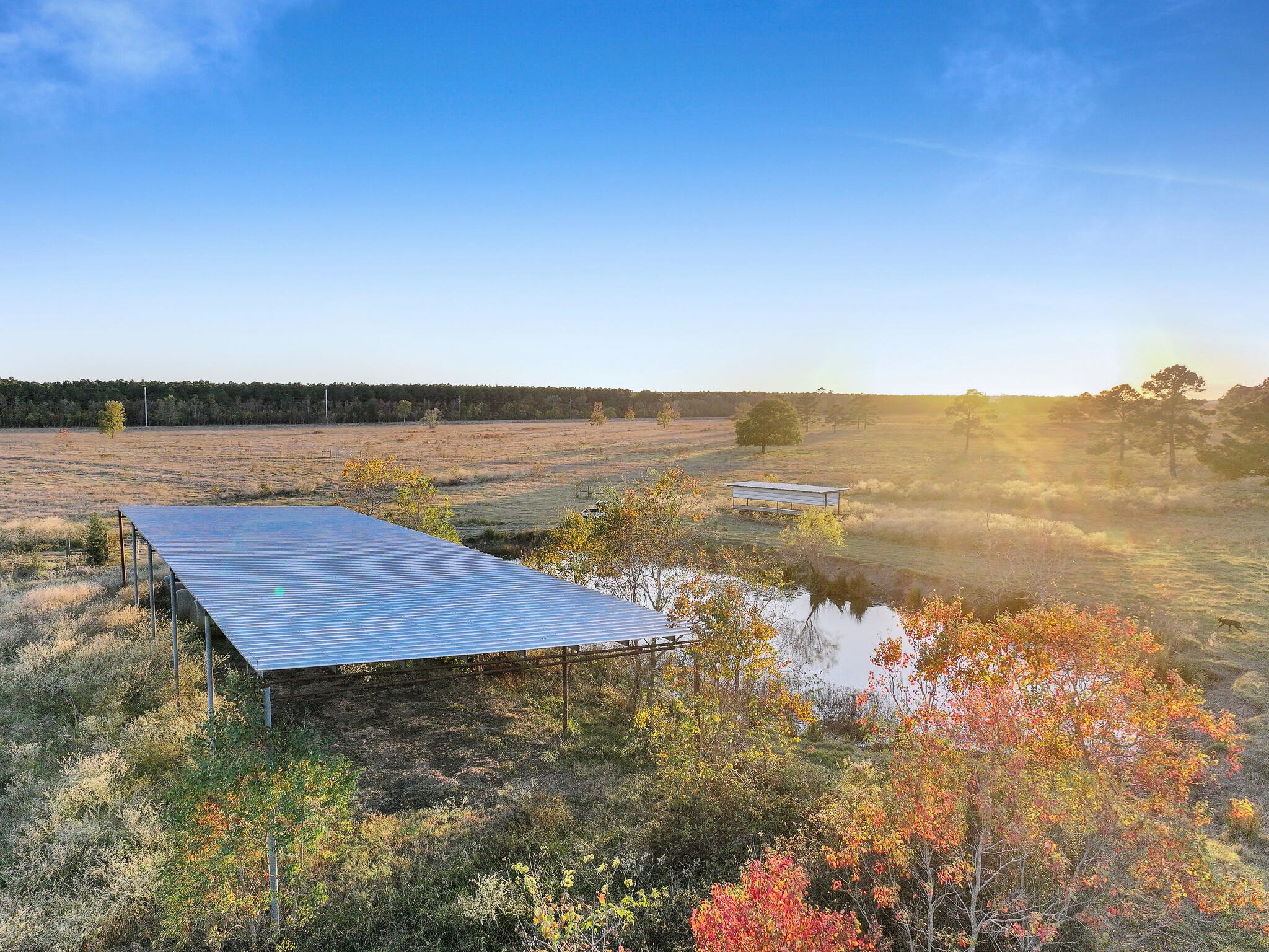 Tbd County Road 2058 Property Photo 24