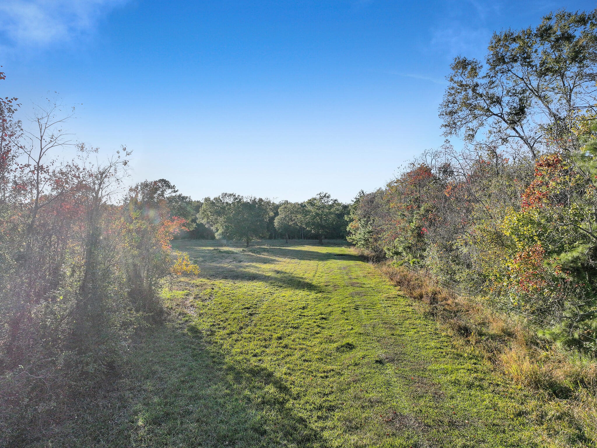 Tbd County Road 2058 Property Photo 27