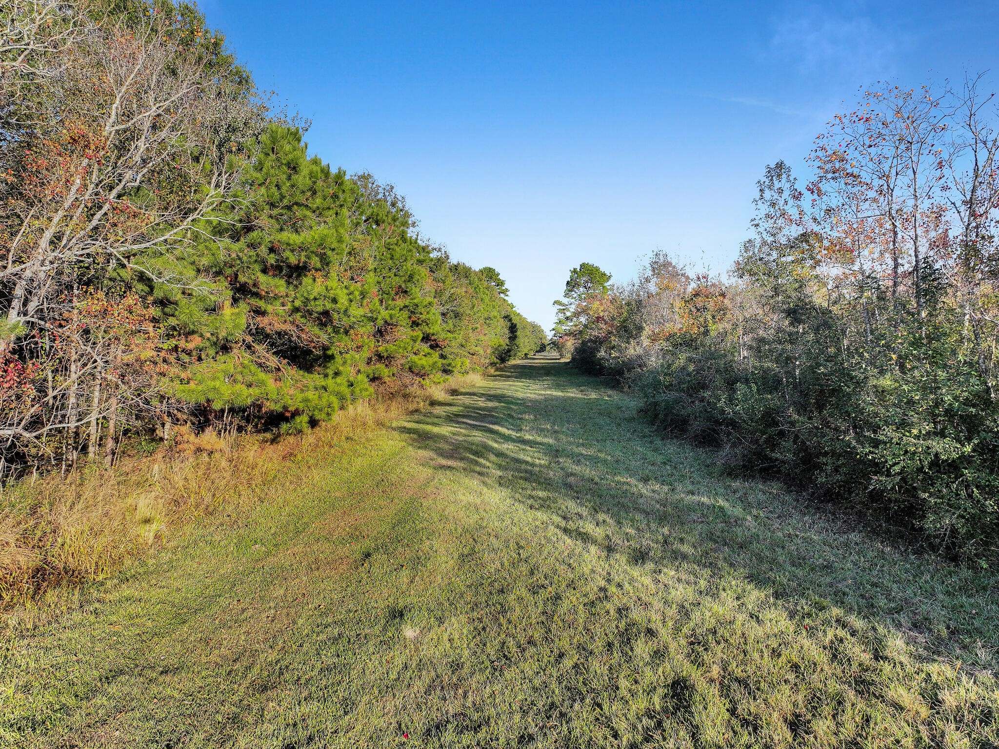 Tbd County Road 2058 Property Photo 28