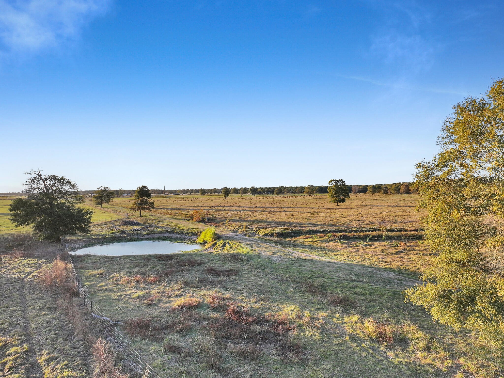 Tbd County Road 2058 Property Photo 30