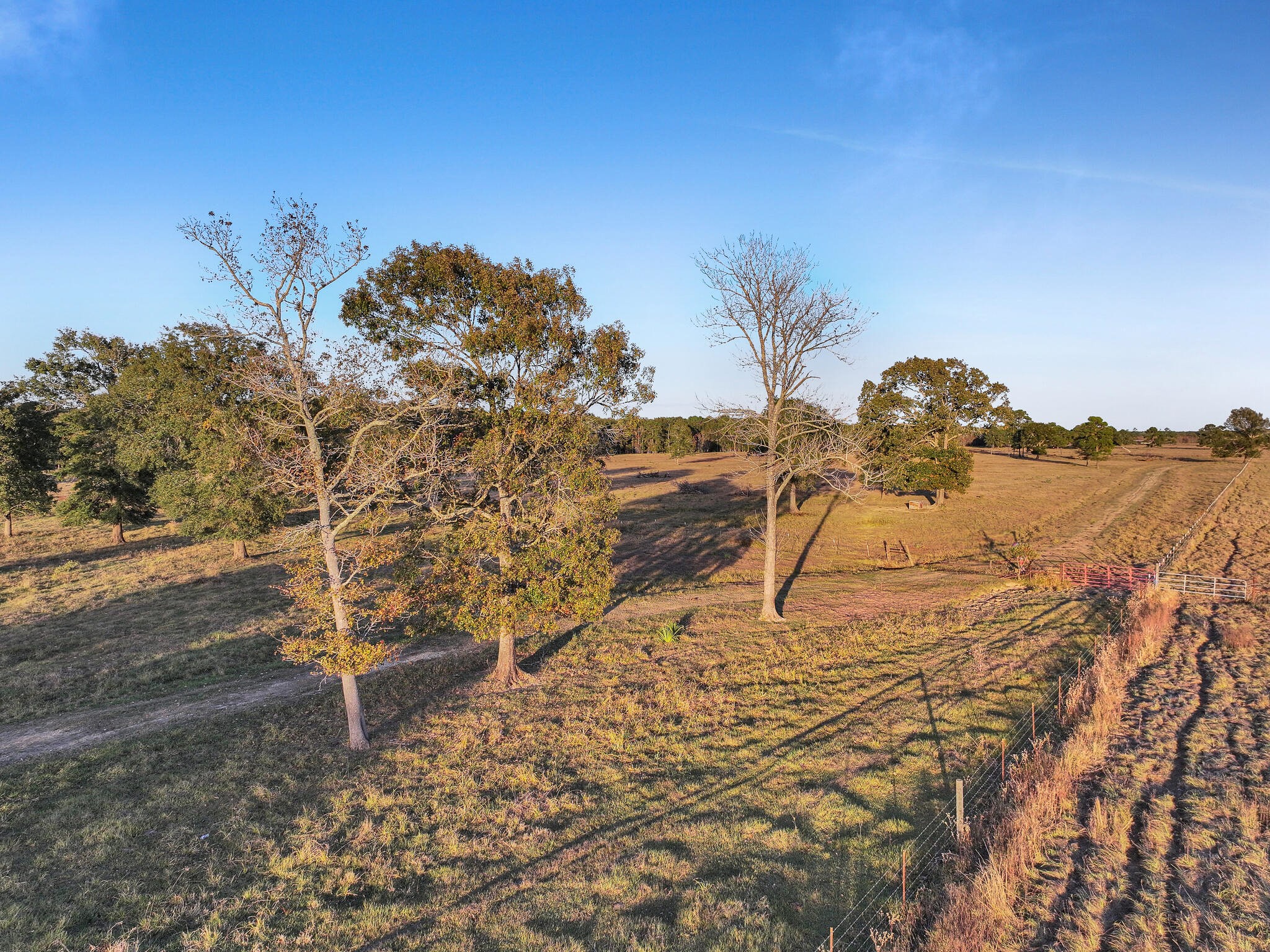Tbd County Road 2058 Property Photo 31