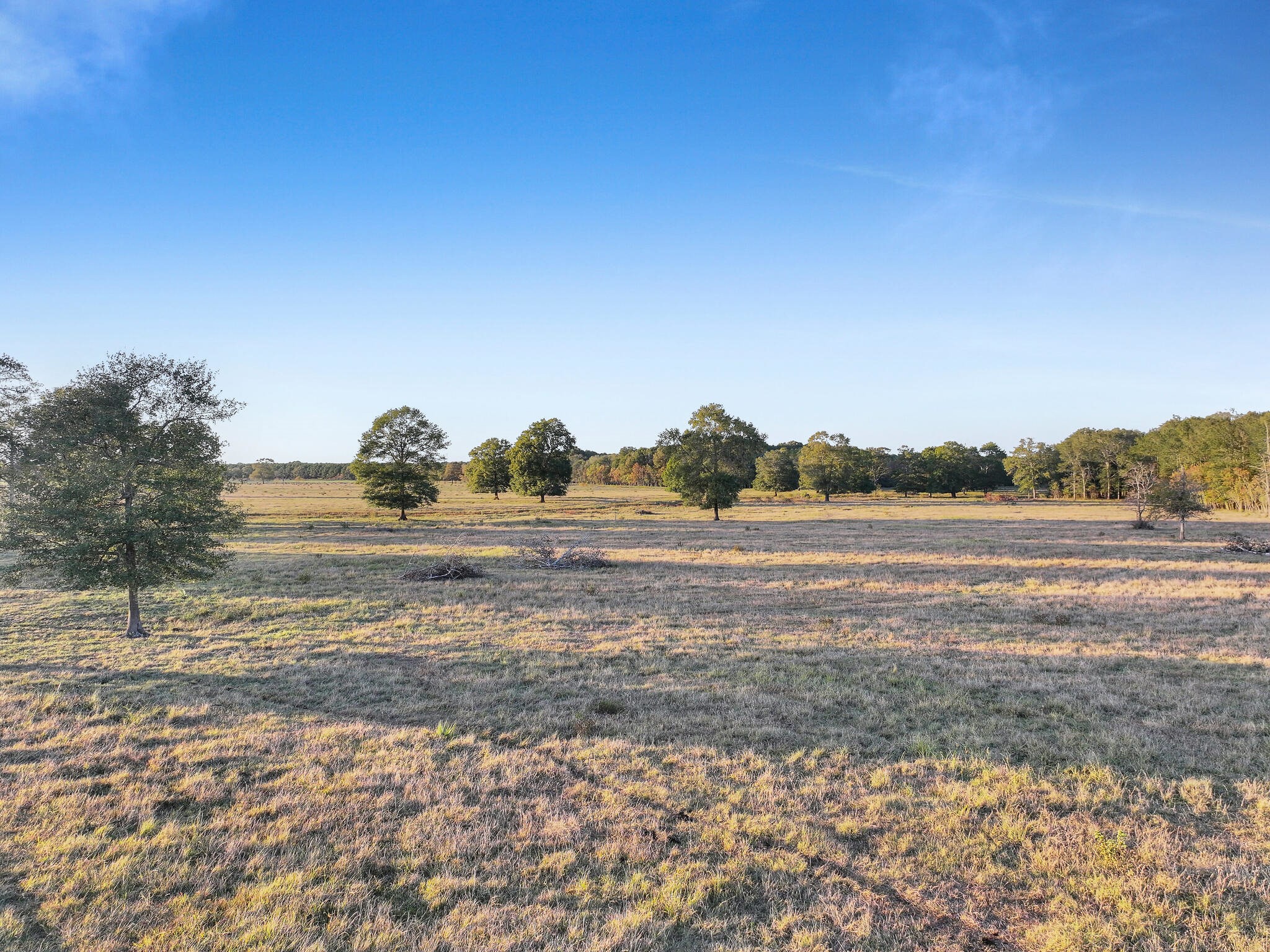 Tbd County Road 2058 Property Photo 33