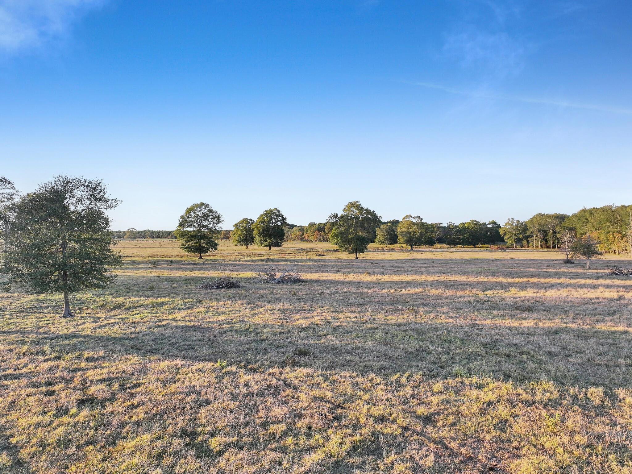 Tbd County Road 2058, Hull Tx 77564 Property Photo 33