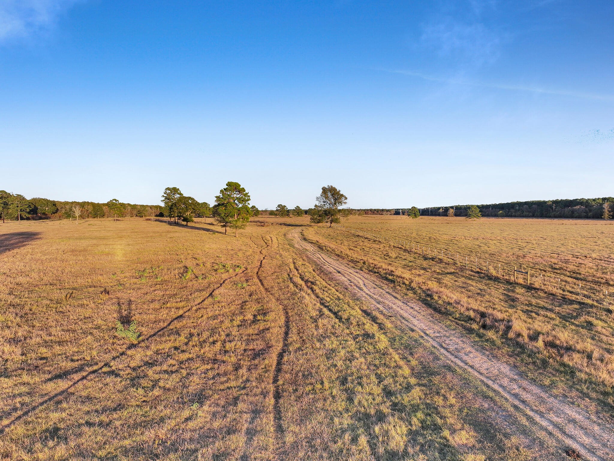 Tbd County Road 2058 Property Photo 34