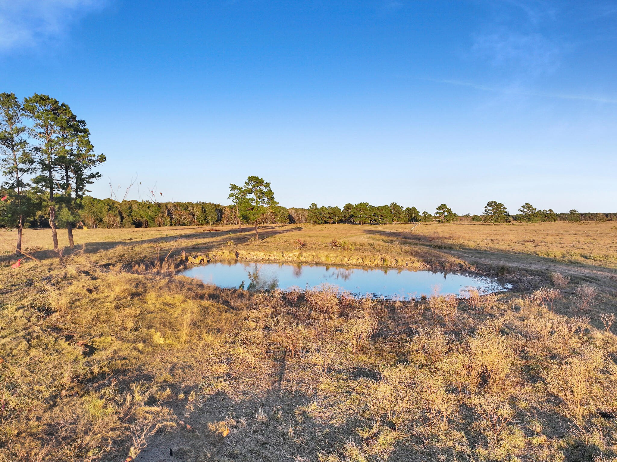 Tbd County Road 2058 Property Photo 35