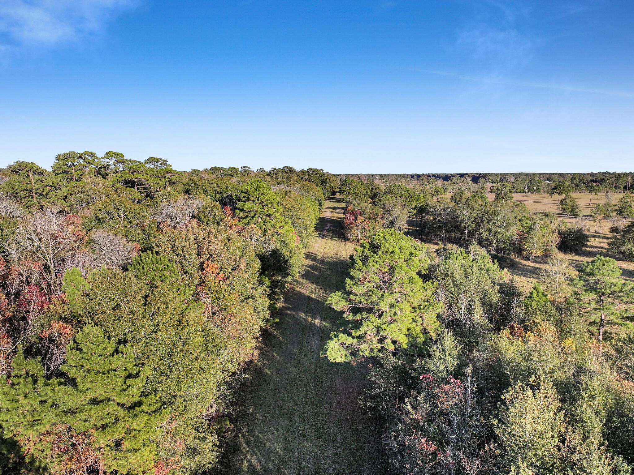 Tbd County Road 2058 Property Photo 37