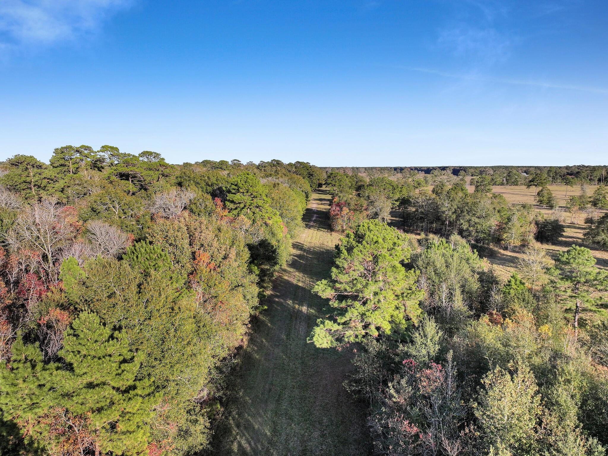 Tbd County Road 2058, Hull Tx 77564 Property Photo 37