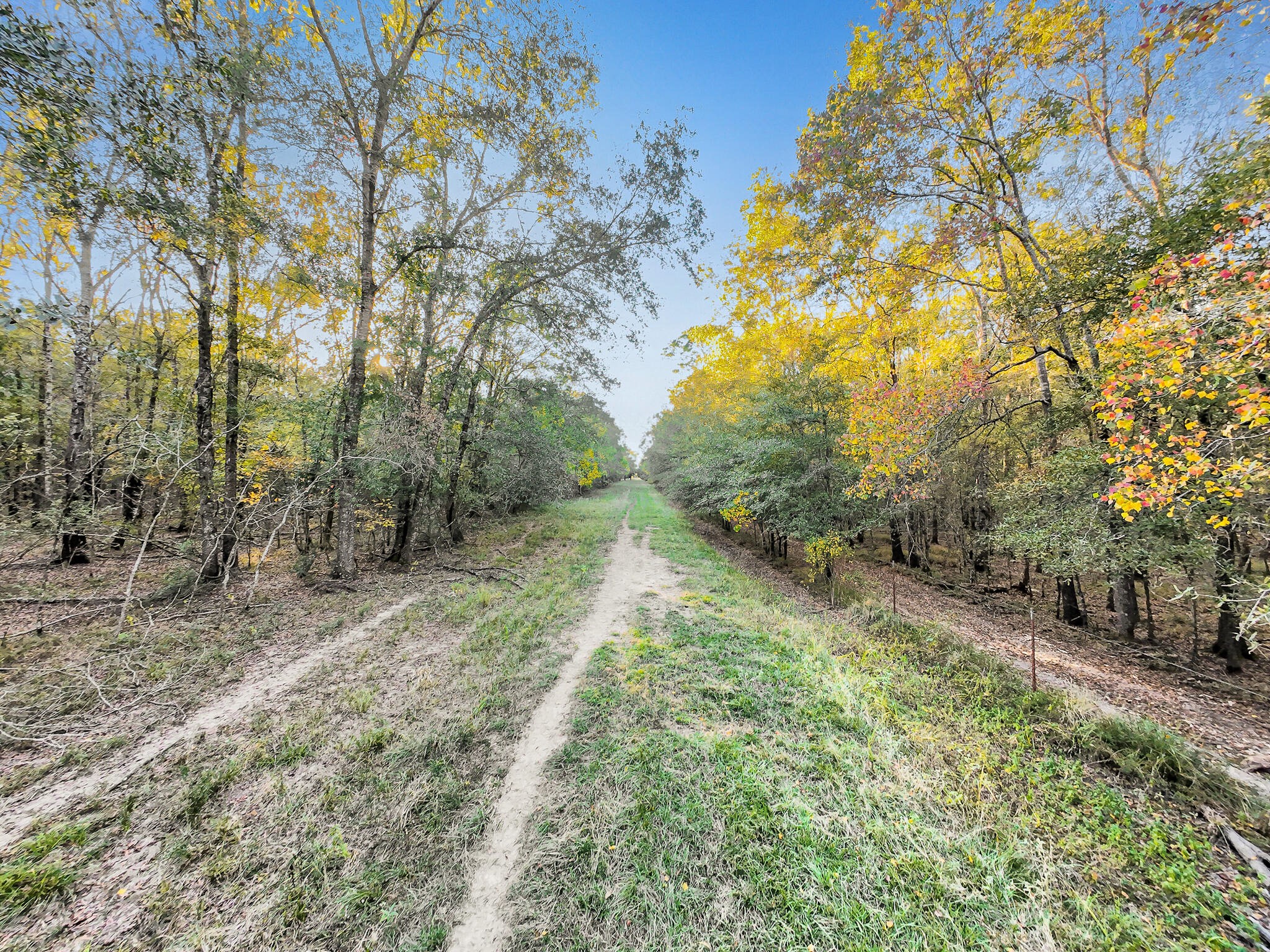Tbd County Road 2058 Property Photo 38