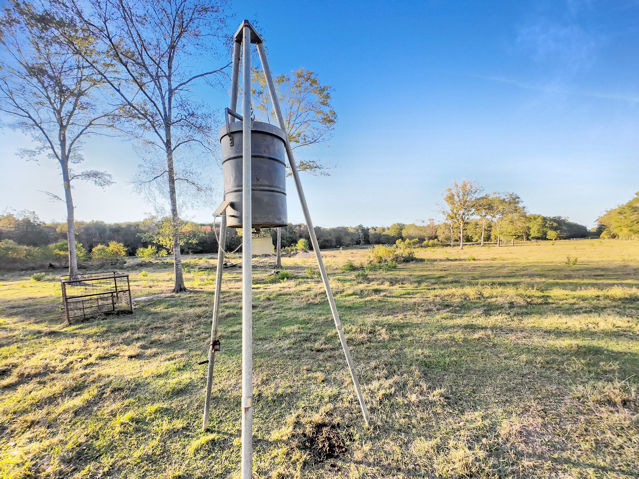 Tbd County Road 2058 Property Photo 39
