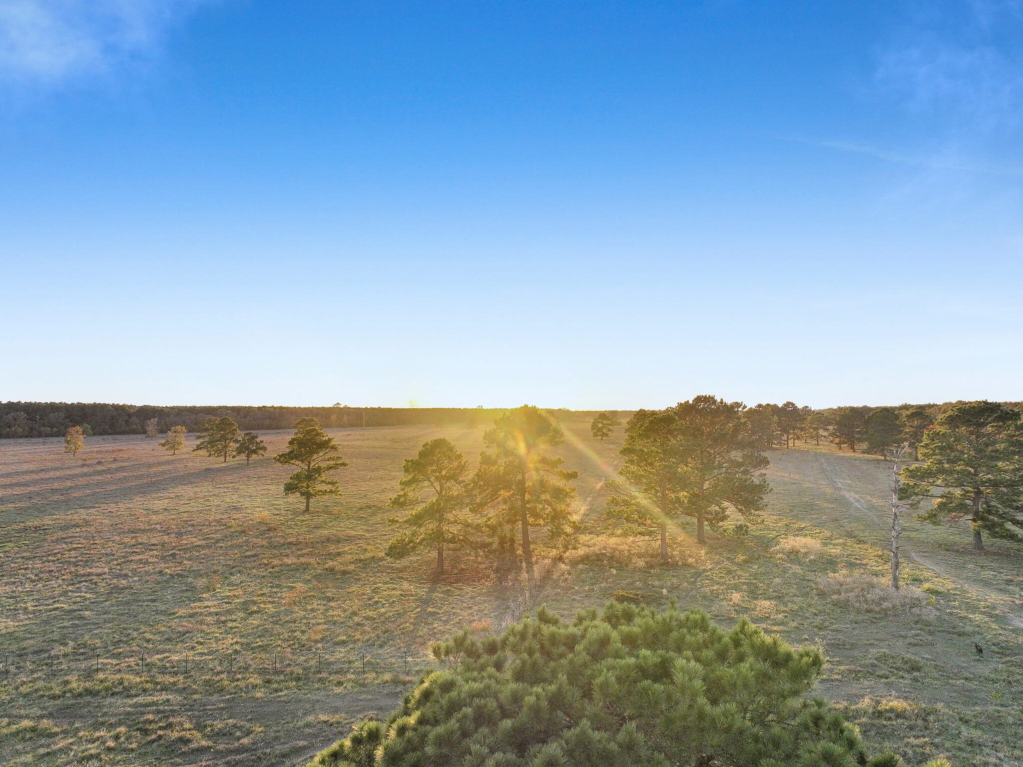 Tbd County Road 2058 Property Photo 41