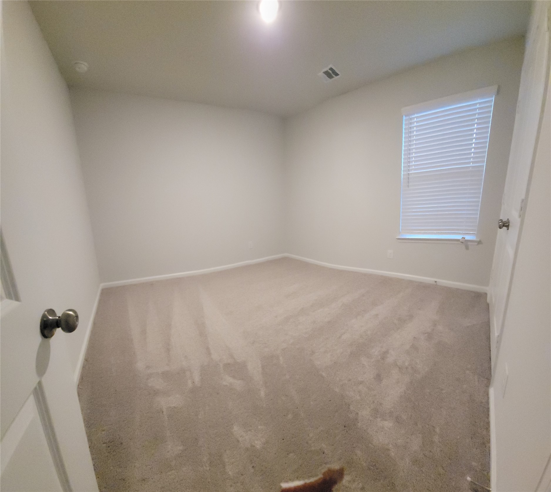 8031 Peppercorn Street Property Photo 11