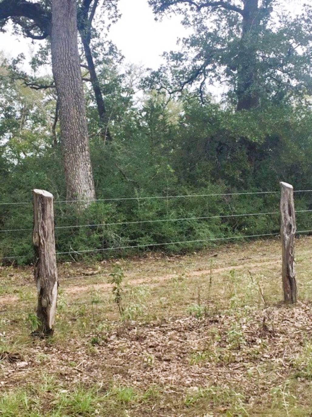 Tbd Jack Rabbit Lane Property Photo 4