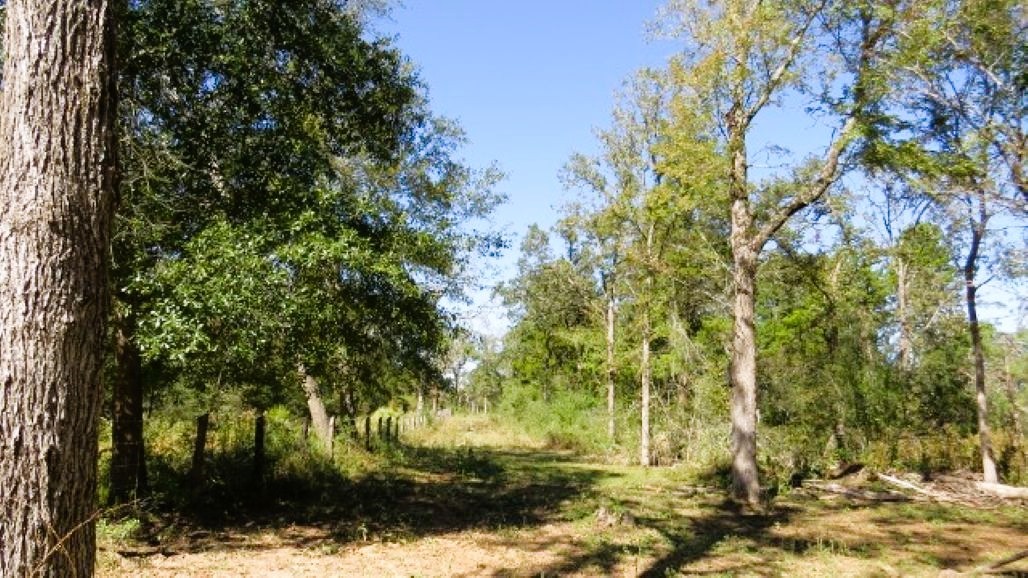 Tbd Jack Rabbit Lane Property Photo 5