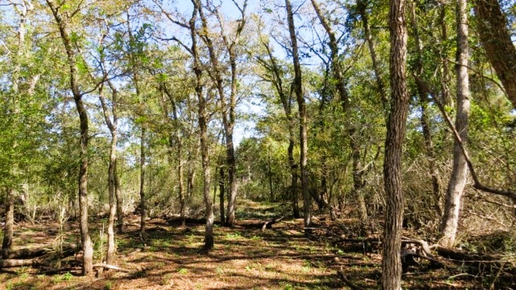 Tbd Jack Rabbit Lane Property Photo 6