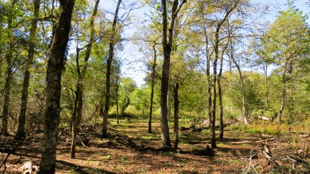 Tbd Jack Rabbit Lane Property Photo 8