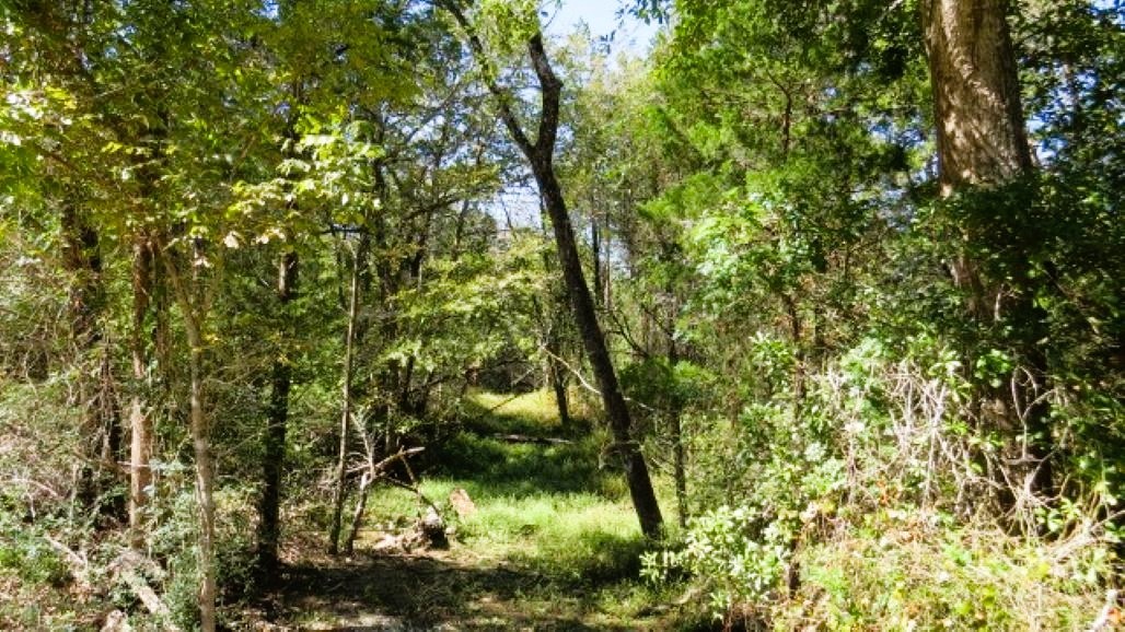 Tbd Jack Rabbit Lane Property Photo 11