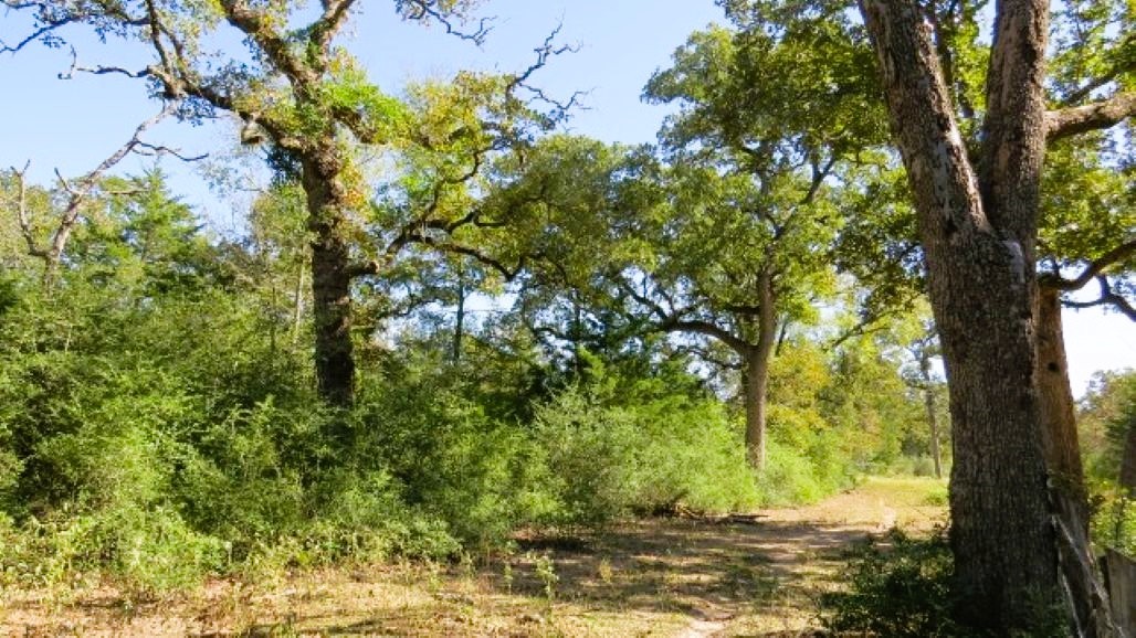 Tbd Jack Rabbit Lane Property Photo 12