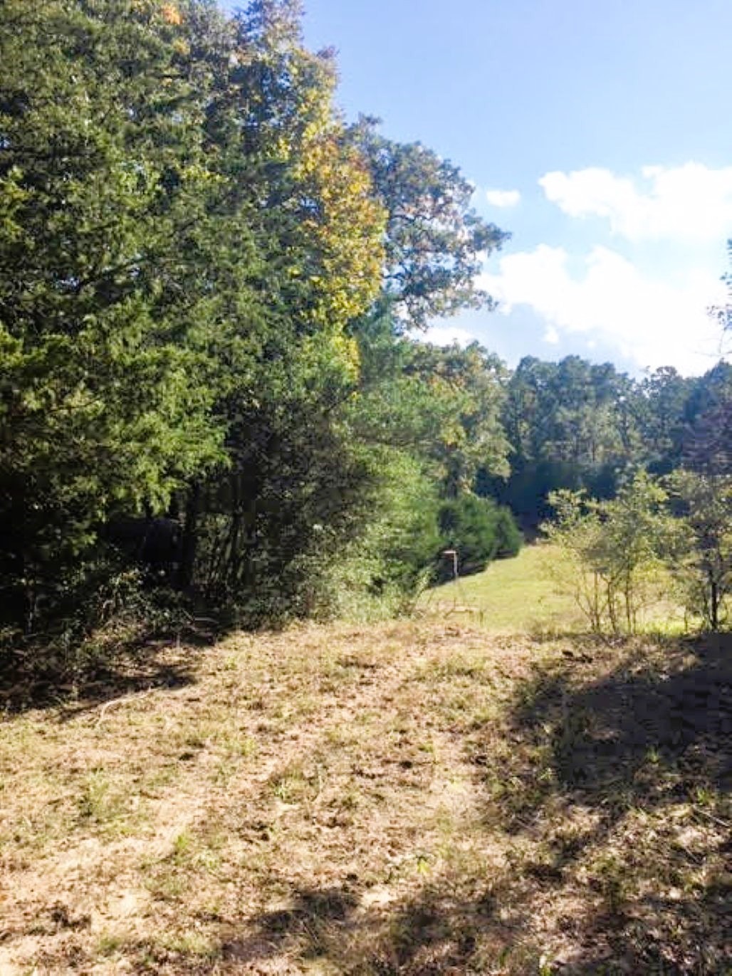 Tbd Jack Rabbit Lane Property Photo 14