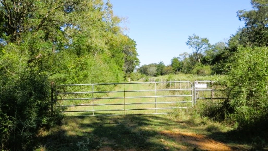 Tbd Jack Rabbit Lane Property Photo 17