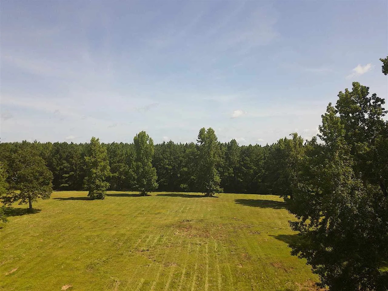 3095 County Road 1087 Property Photo 4
