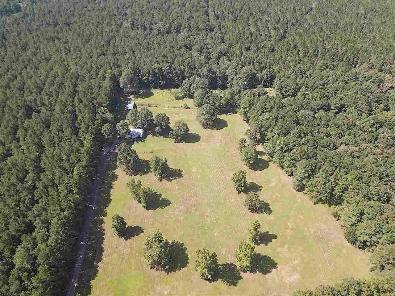 3095 County Road 1087 Property Photo 5