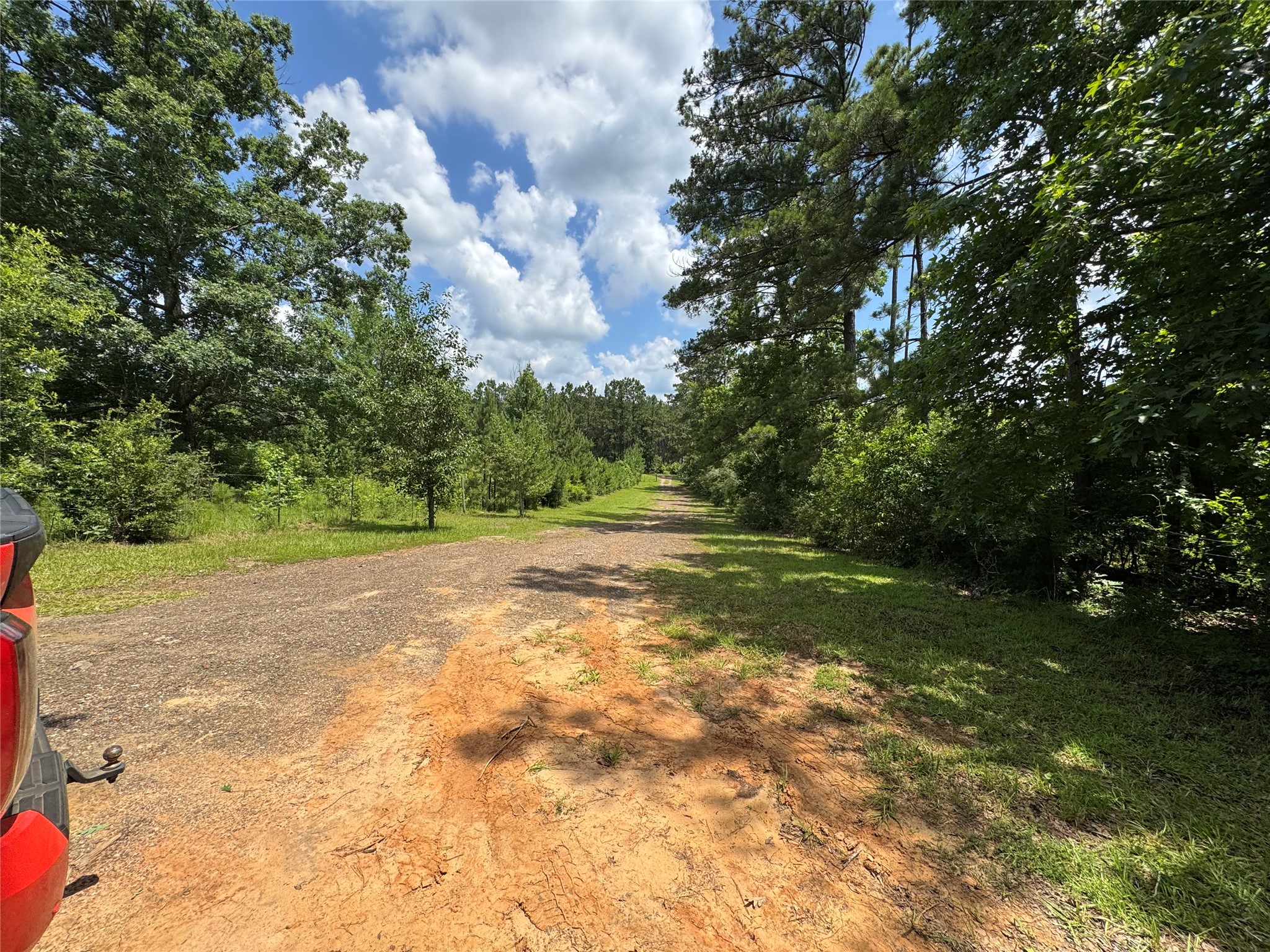 3095 County Road 1087 Property Photo 6