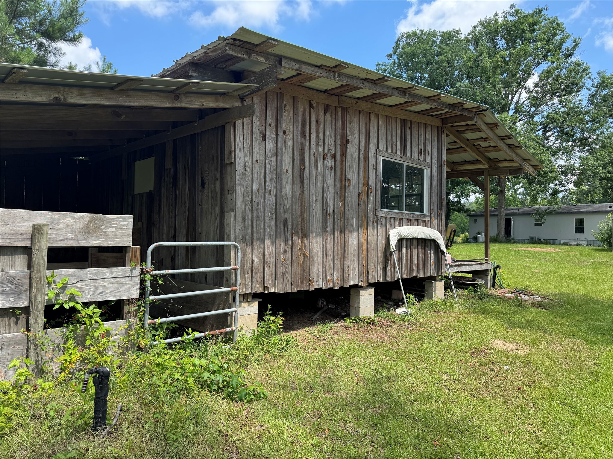 3095 County Road 1087 Property Photo 12