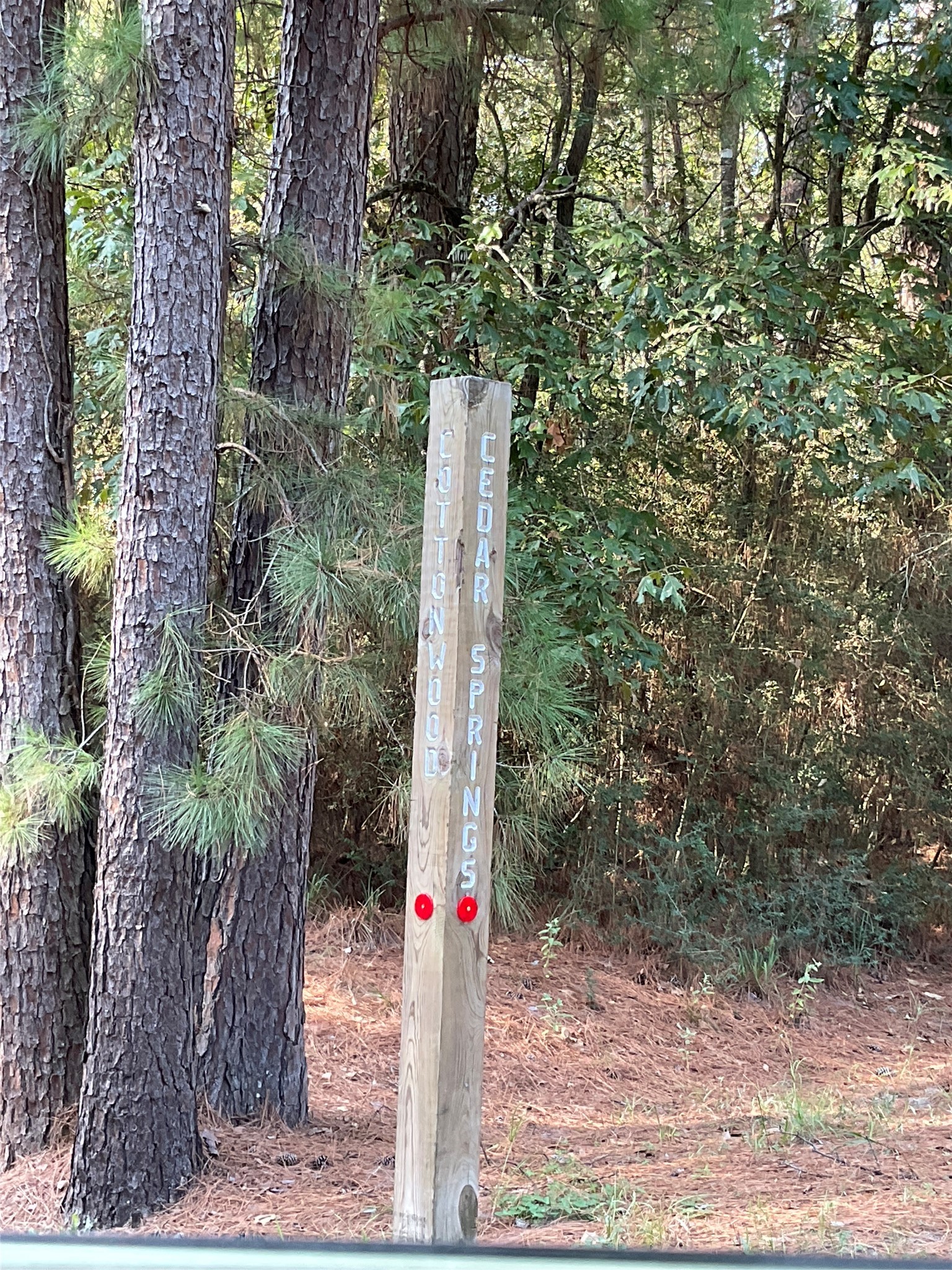7 Cedar Springs Property Photo 6