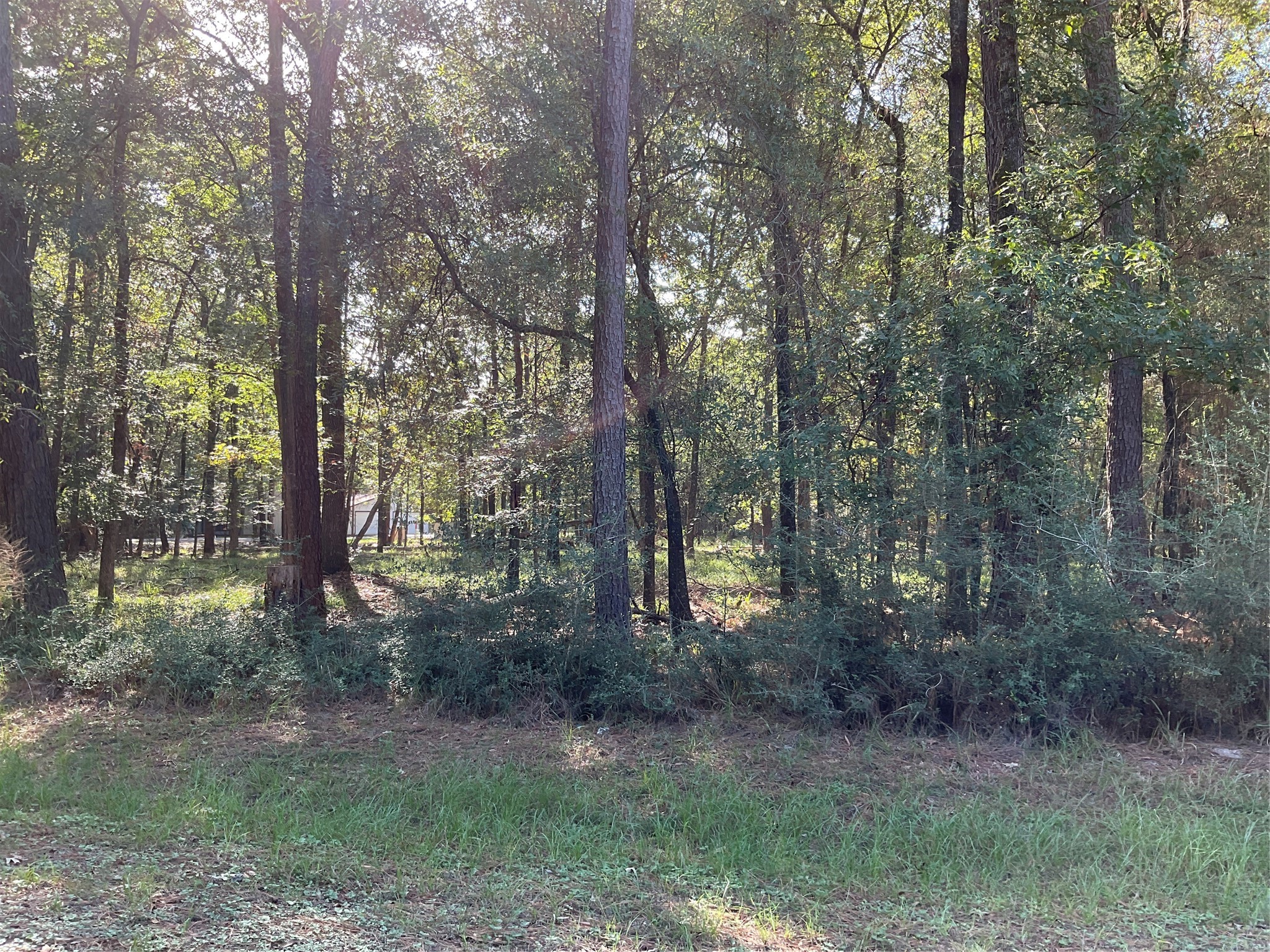 7 Cedar Springs Property Photo 7