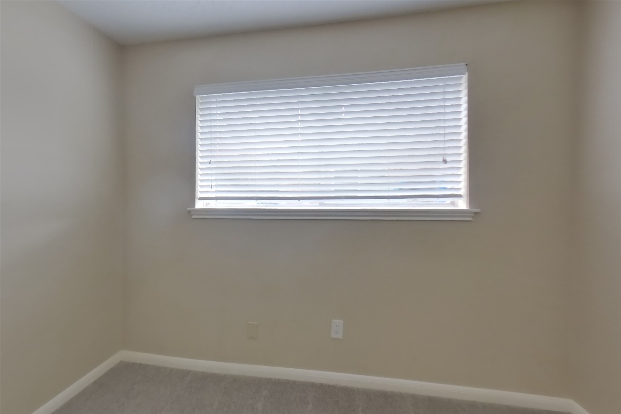 1838 Turtle Creek Drive Property Photo 10