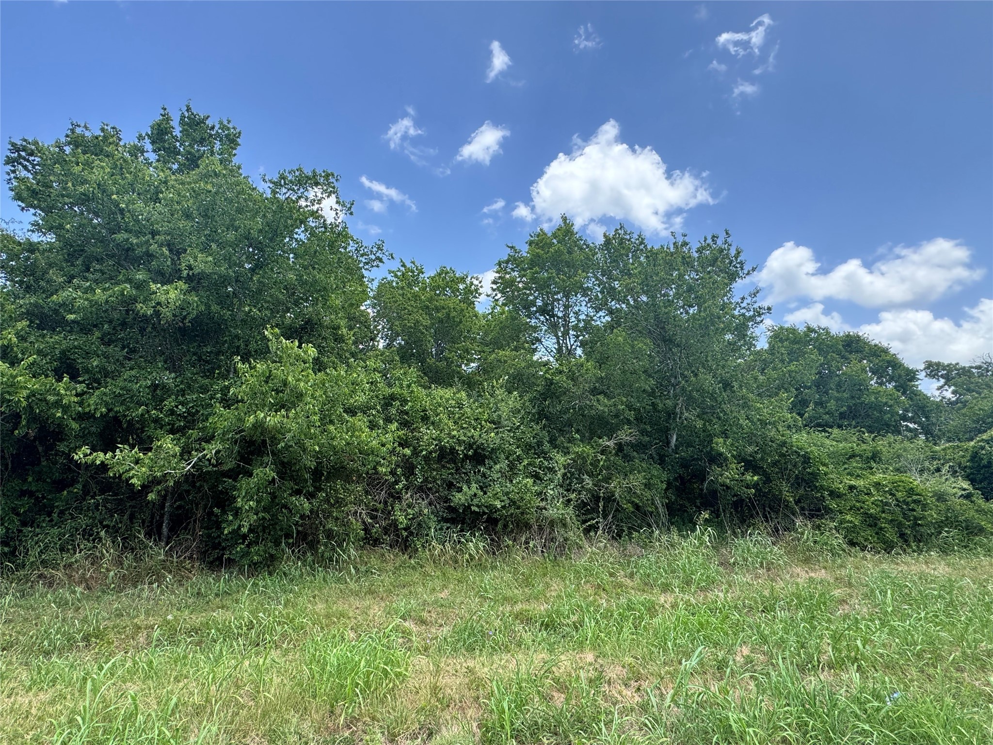Tbd Caldwell Street Property Photo 1
