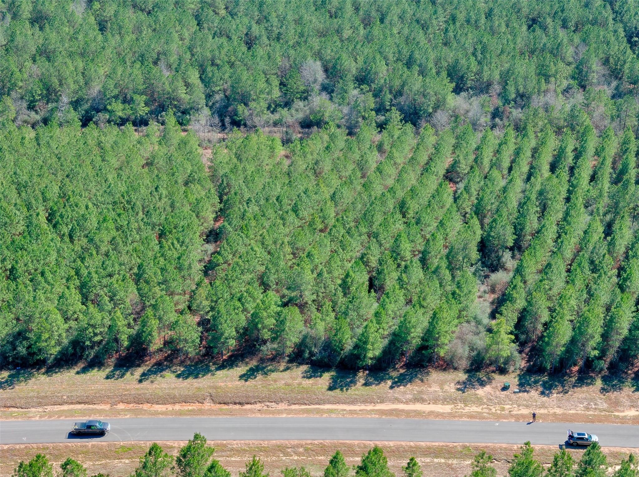 12642 Oak Barrel Road Property Photo 4