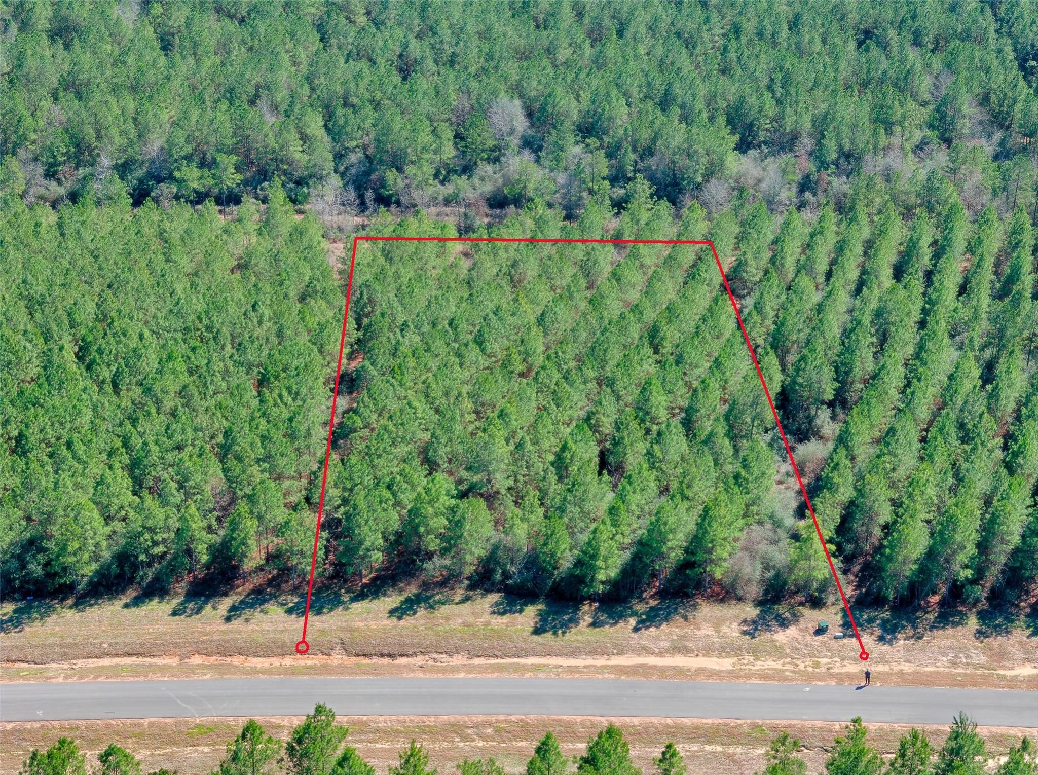 12642 Oak Barrel Road Property Photo 5