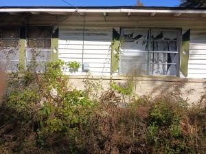 755 Barrett Street Property Photo 6