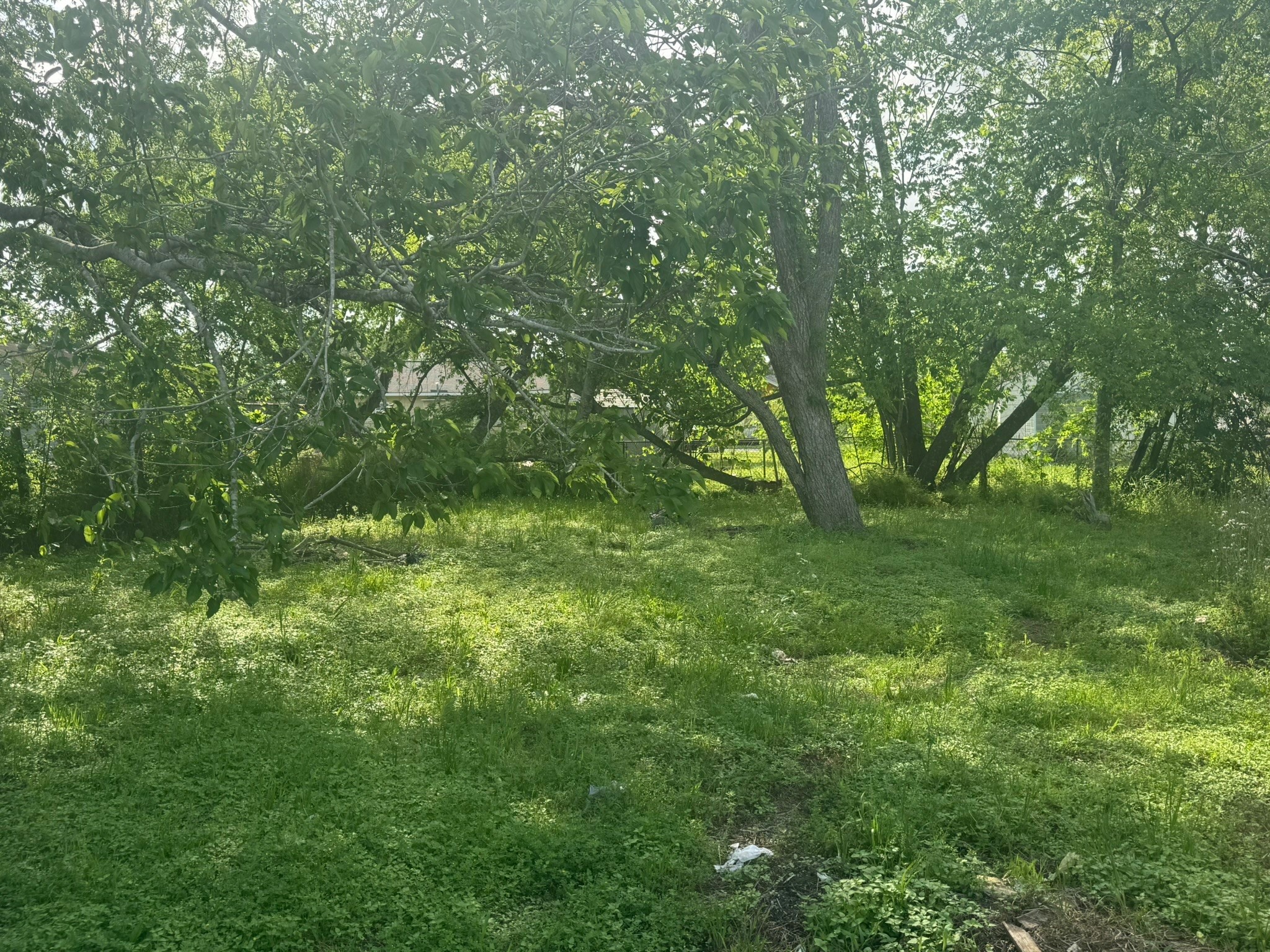 414 Correll Avenue Property Photo