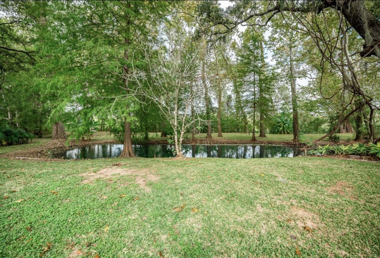 464 River Road Property Photo 27