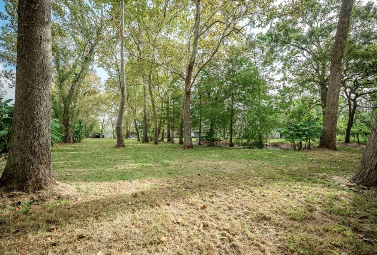 464 River Road Property Photo 29