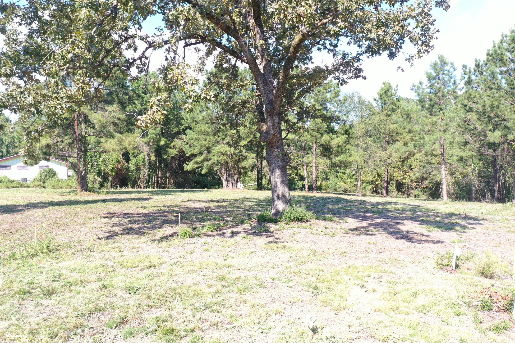 185 S Fm 356 W Property Photo 18