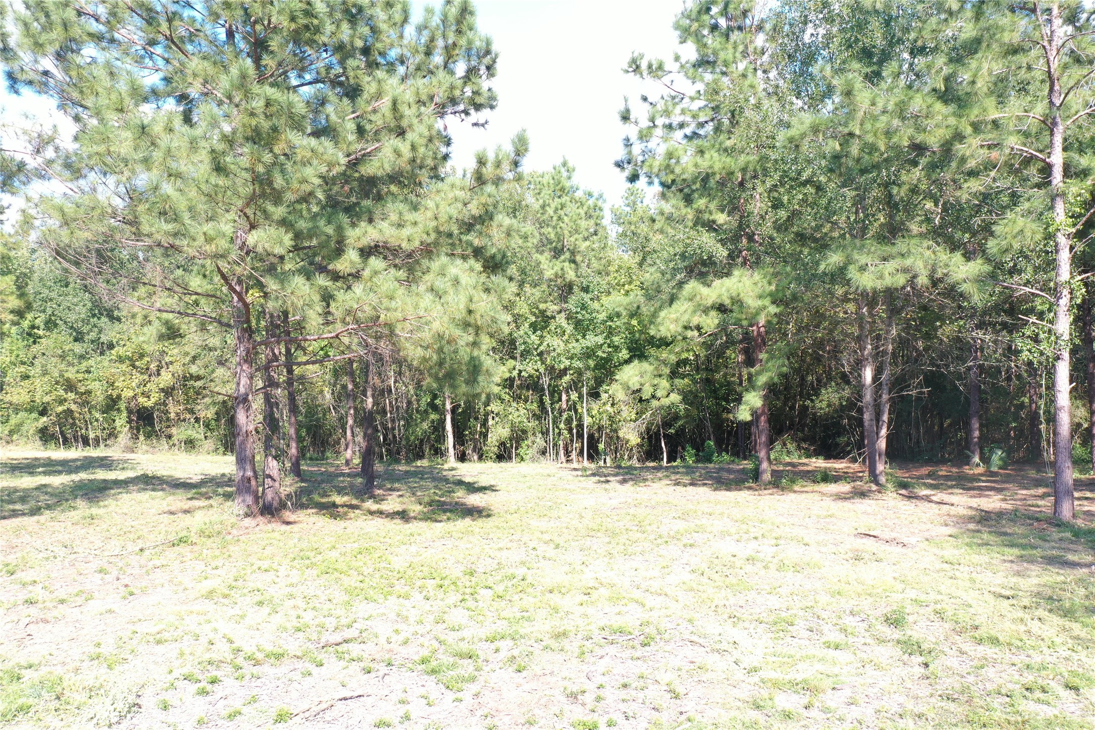 185 S Fm 356 W Property Photo 21
