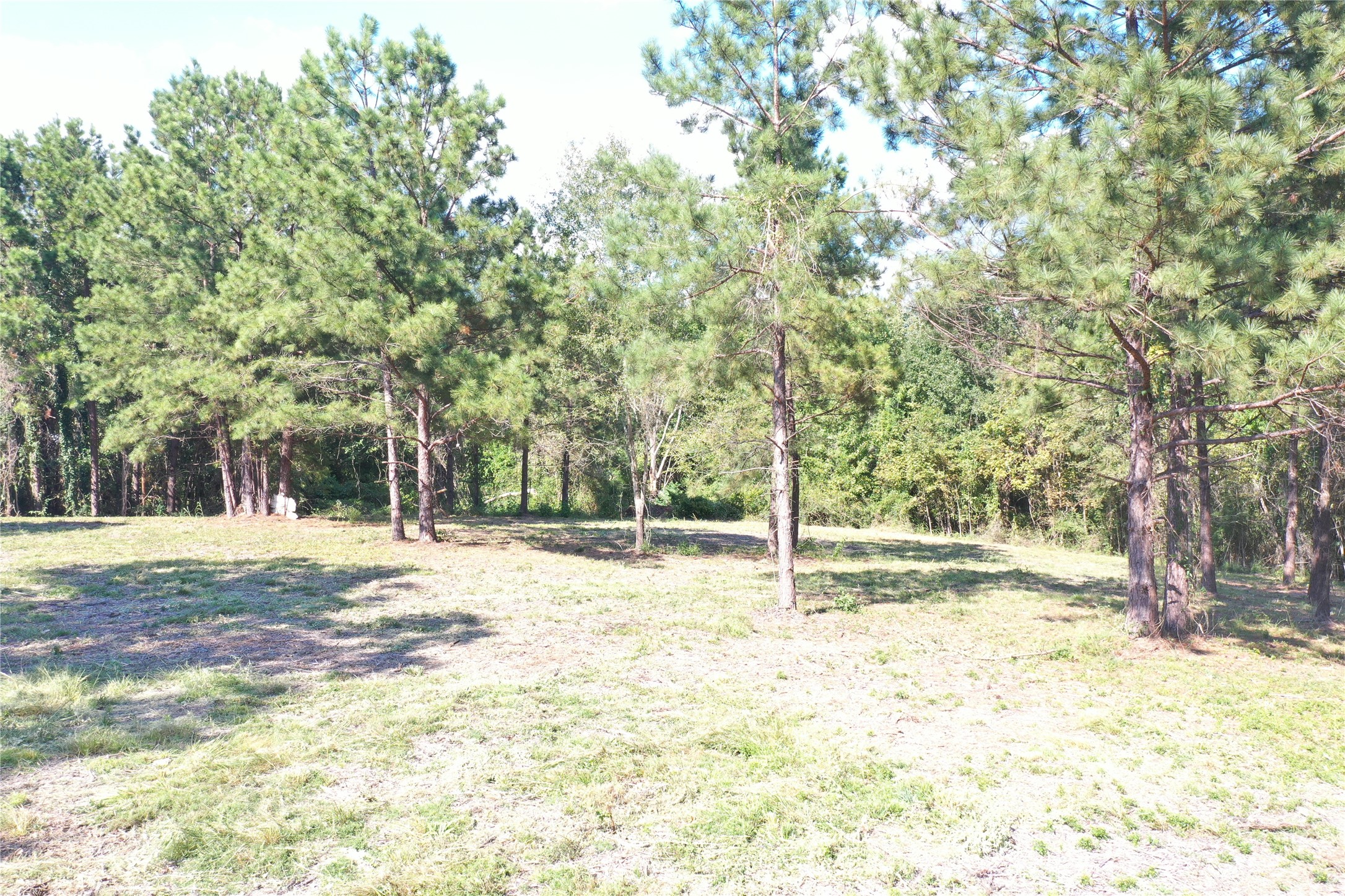 185 S Fm 356 W Property Photo 22