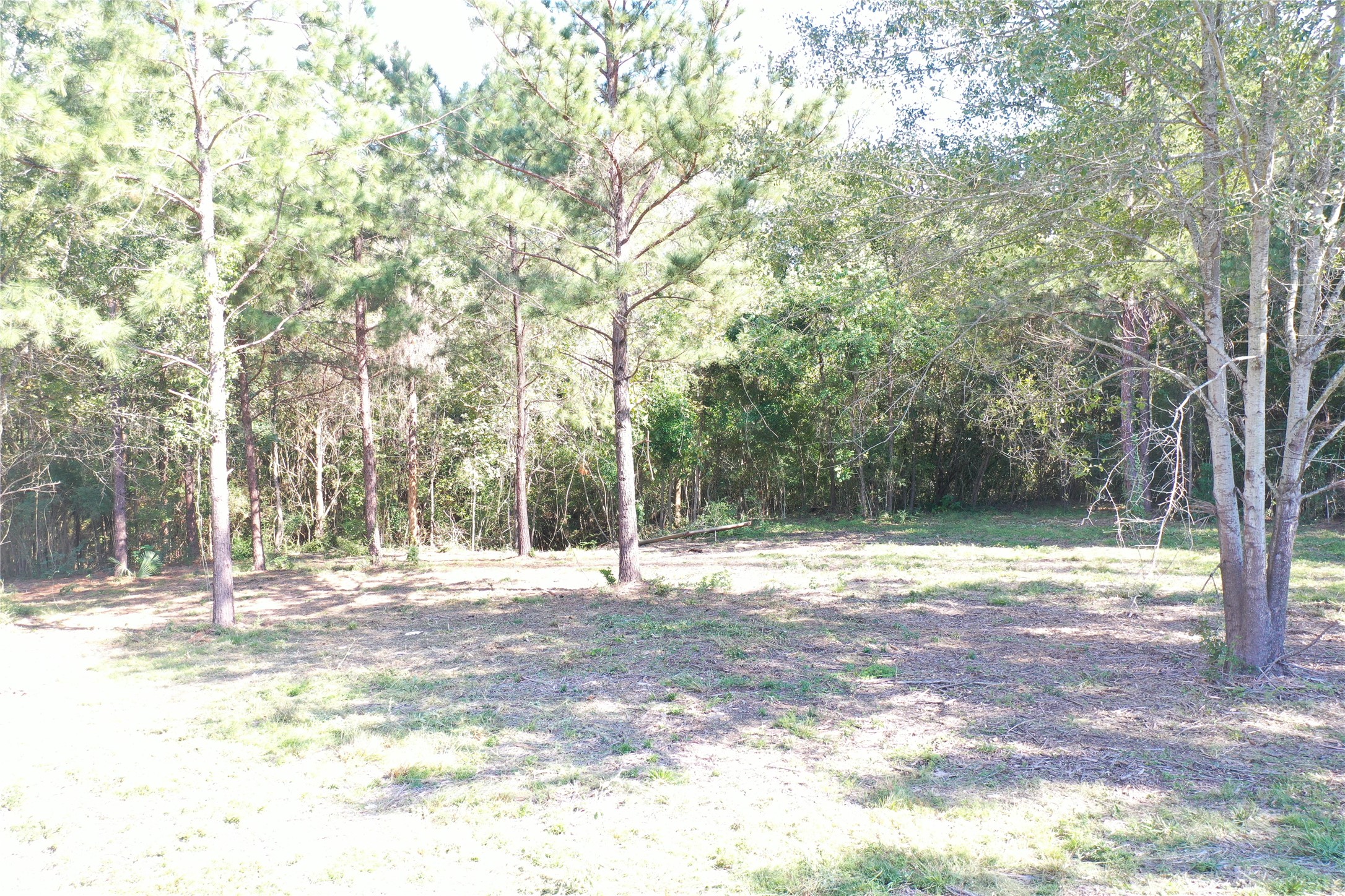 185 S Fm 356 W Property Photo 23